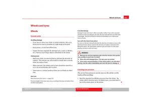 Seat-Toledo-III-3-owners-manual page 227 min