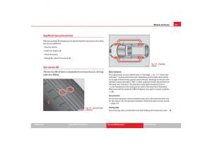 Seat-Toledo-III-3-owners-manual page 229 min