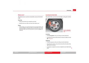 Seat-Toledo-III-3-owners-manual page 239 min