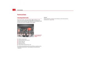 Seat-Toledo-III-3-owners-manual page 274 min