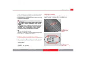 Seat-Toledo-III-3-manual-del-propietario page 241 min