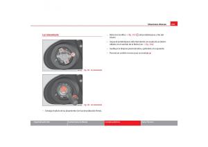 Seat-Toledo-III-3-manual-del-propietario page 271 min