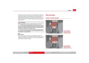 Seat-Toledo-III-3-manuel-du-proprietaire page 177 min