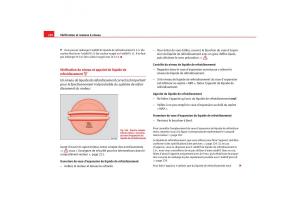 Seat-Toledo-III-3-manuel-du-proprietaire page 232 min