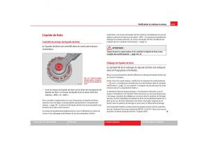 Seat-Toledo-III-3-manuel-du-proprietaire page 237 min