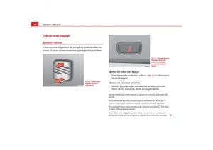 Seat-Toledo-III-3-manuale-del-proprietario page 108 min