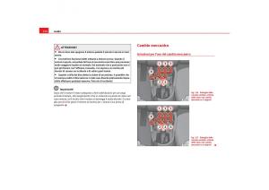 Seat-Toledo-III-3-manuale-del-proprietario page 174 min