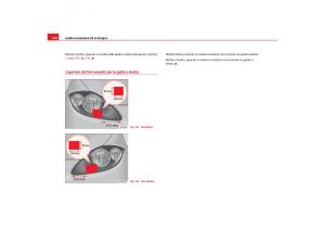 Seat-Toledo-III-3-manuale-del-proprietario page 198 min