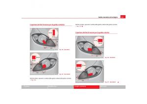 Seat-Toledo-III-3-manuale-del-proprietario page 199 min