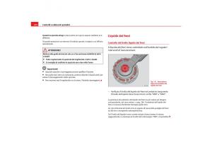 Seat-Toledo-III-3-manuale-del-proprietario page 234 min