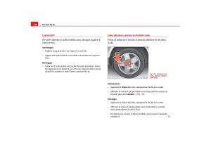 Seat-Toledo-III-3-manuale-del-proprietario page 252 min