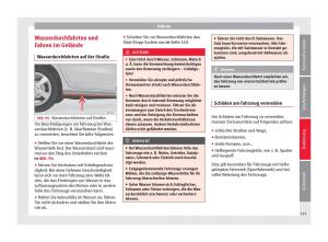 Seat-Toledo-IV-4-Handbuch page 117 min