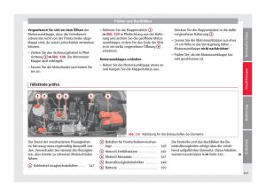 Seat-Toledo-IV-4-Handbuch page 145 min