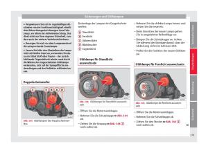 Seat-Toledo-IV-4-Handbuch page 181 min