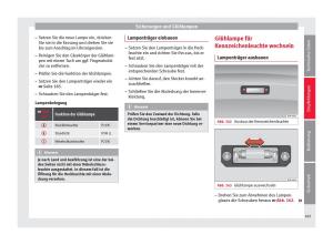 Seat-Toledo-IV-4-Handbuch page 187 min