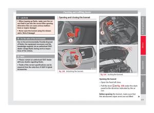 Seat-Toledo-IV-4-owners-manual page 135 min