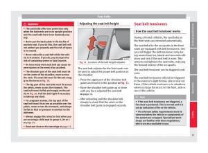 Seat-Toledo-IV-4-owners-manual page 17 min