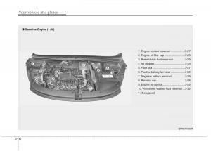 Hyundai-i10-I-1-owners-manual page 19 min