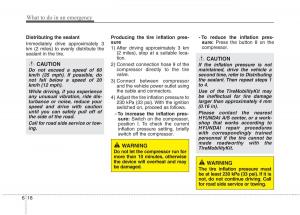 Hyundai-i10-I-1-owners-manual page 256 min