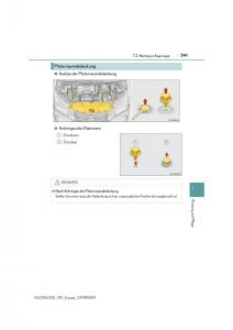 Lexus-NX-Handbuch page 541 min