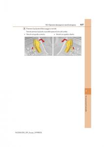 Lexus-NX-manuale-del-proprietario page 637 min