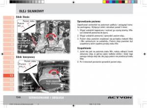 SsangYong-Actyon-instrukcja-obslugi page 227 min