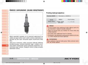 SsangYong-Actyon-instrukcja-obslugi page 239 min