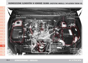 SsangYong-Kyron-instrukcja-obslugi page 217 min