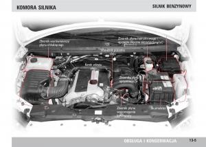 SsangYong-Rodius-instrukcja-obslugi page 217 min