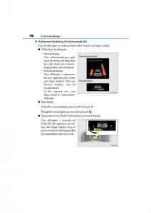 Lexus-GS-F-IV-4-instruktionsbok page 116 min