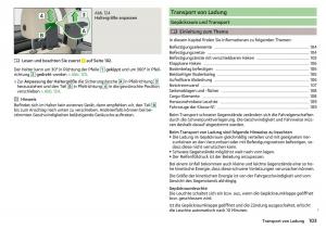 Skoda-Kodiaq-Handbuch page 105 min