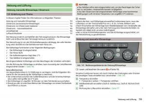 Skoda-Kodiaq-Handbuch page 115 min