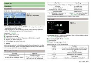 Skoda-Kodiaq-Handbuch page 161 min