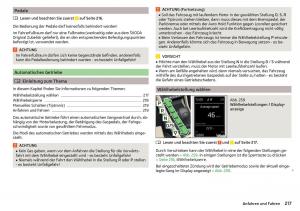 Skoda-Kodiaq-Handbuch page 219 min