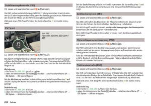 Skoda-Kodiaq-Handbuch page 226 min