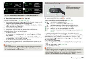 Skoda-Kodiaq-Handbuch page 251 min