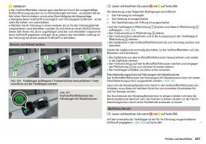 Skoda-Kodiaq-Handbuch page 289 min