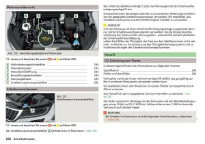 Skoda-Kodiaq-Handbuch page 294 min