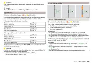 Skoda-Kodiaq-Handbuch page 295 min