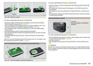 Skoda-Kodiaq-Handbuch page 317 min