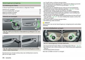 Skoda-Kodiaq-Handbuch page 318 min