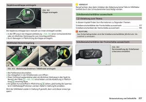 Skoda-Kodiaq-Handbuch page 319 min