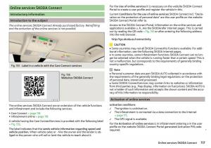 Skoda-Kodiaq-owners-manual page 119 min