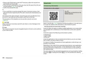 Skoda-Kodiaq-owners-manual page 174 min