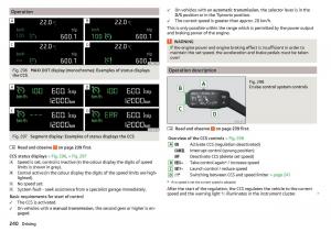 Skoda-Kodiaq-owners-manual page 242 min