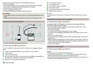 Skoda-Kodiaq-owners-manual page 298 min