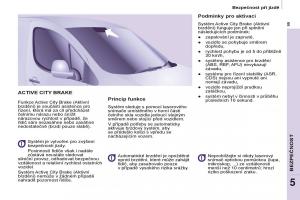 Citroen-Berlingo-Multispace-II-2-navod-k-obsludze page 101 min