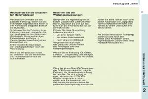 Citroen-Berlingo-Multispace-II-2-Handbuch page 19 min