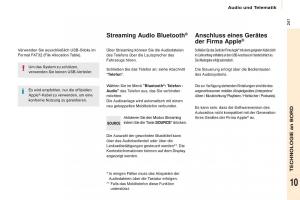 Citroen-Berlingo-Multispace-II-2-Handbuch page 243 min