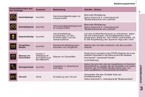 Citroen-Berlingo-Multispace-II-2-Handbuch page 39 min